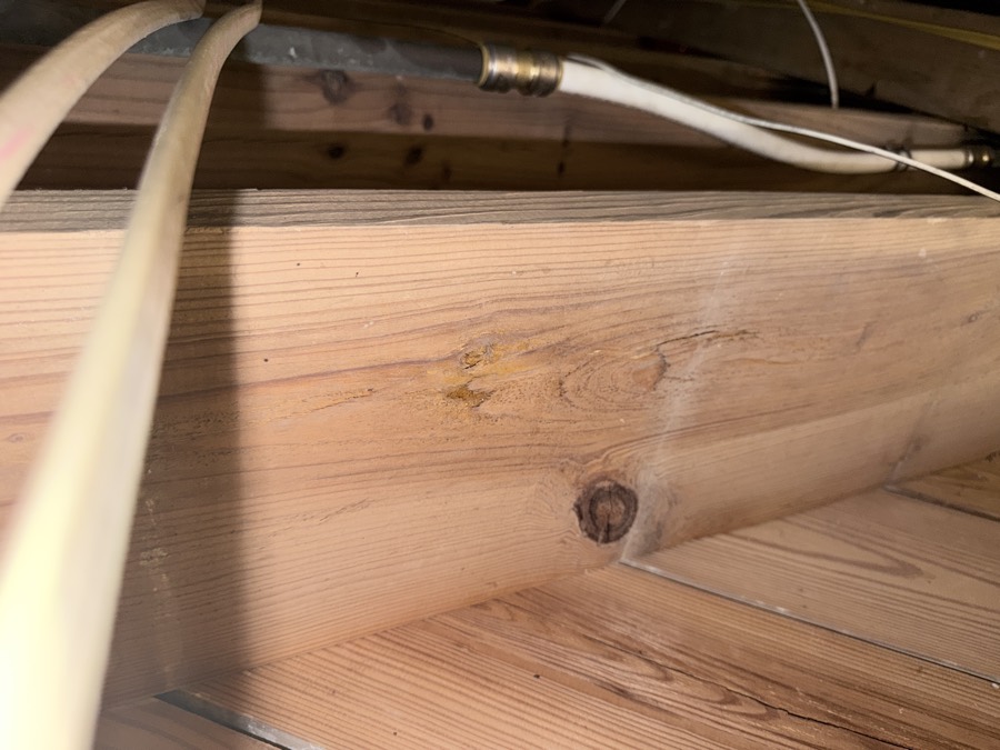 Project photo 5